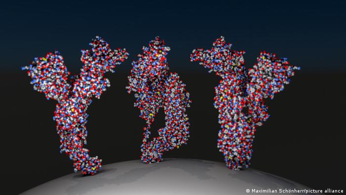 Illustration |  drei Protein eines Coronavirus-Spikes